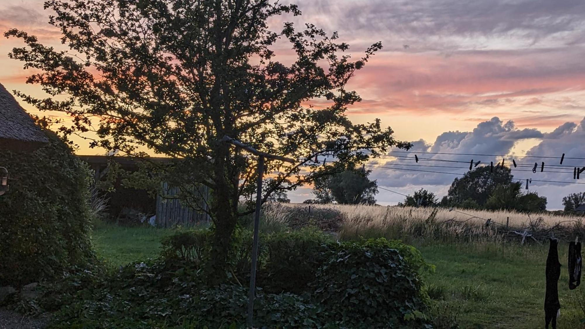 Stubbekøbing Under Valnodden Bed & Breakfast エクステリア 写真